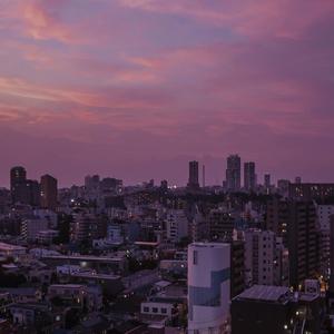 最污的男女肏屄视频
