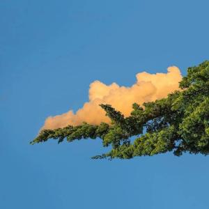 最污的男女肏屄视频
