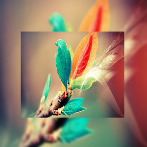 最污的男女肏屄视频
